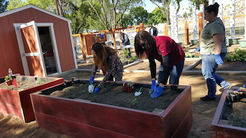 The City of Perris Community Garden Demonstration Center. Photo courtesy of the City of Perris.