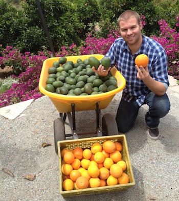 MIchael Johnson of Coronet Corner Grove in Riverside with avocado and citrus that he sells at local farmers markets, to the Riverside Food Co-op and through other local outlets. (Photo courtesy of Michael Johnson).