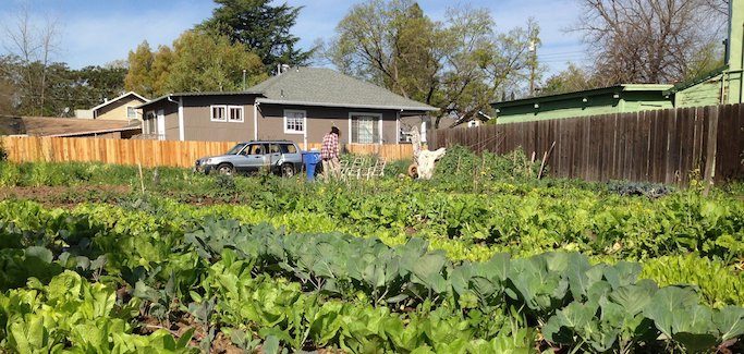 UC Cooperative Extension Offers Urban Farming Workshops in San Diego and Sacramento 