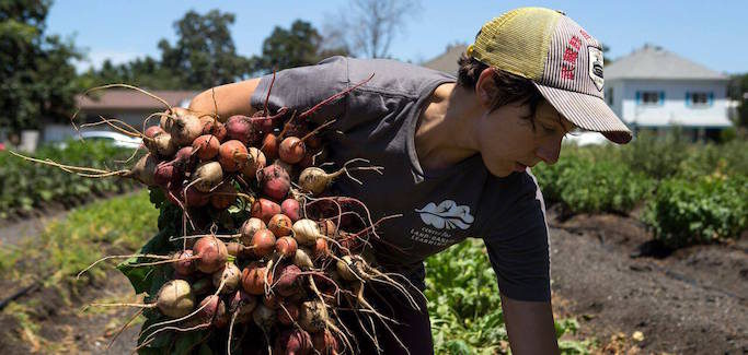 Farming Formerly Vacant Lots, Urban Ag Program Grows New Farmers and Fresh Produce for Food Deserts