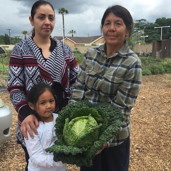 Photo Courtesy of Huerta del Valle Community Garden.