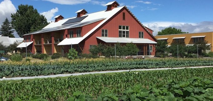 Innovative Neighborhood Farm Adjacent to Housing Complex Increases Food Access and Grows Community