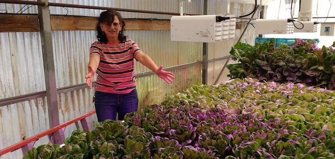 SoCal Community College Hort Professor Prepares Students to Work in Indoor Farms of the Future