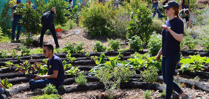 Episcopal Diocese Plants Seeds of Hope to Address Food Insecurity in Southern California