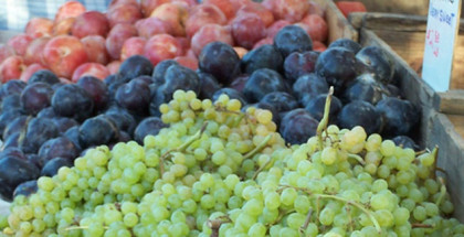 Produce in Sparks, Nevada where New Urban Agriculture Ordinance has been passed