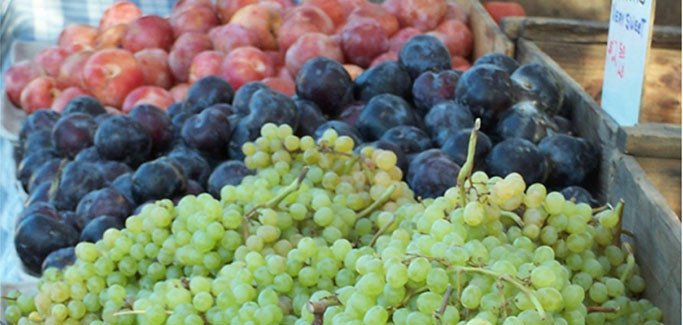 Produce in Sparks, Nevada where New Urban Agriculture Ordinance has been passed