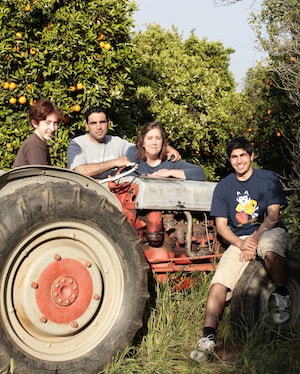 the grove farm riverside california local food organic ghamlouch-min